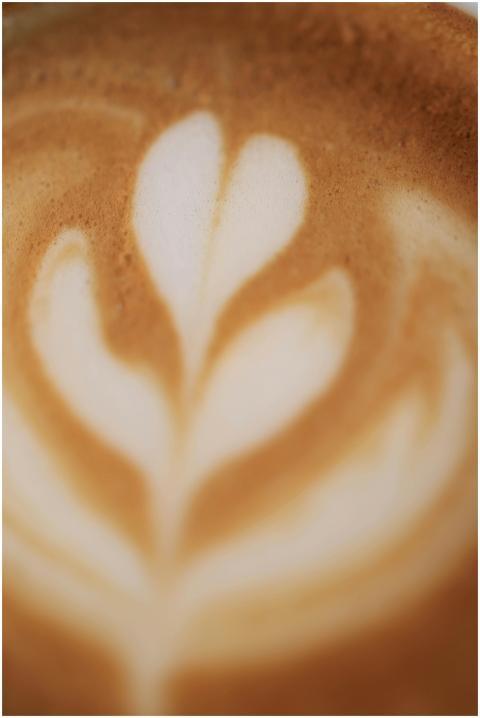Capture of intricate coffee froth art with a focus