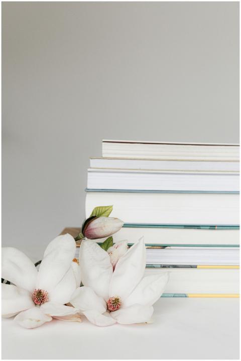 Composition with twig of white bloomy delicate Mag