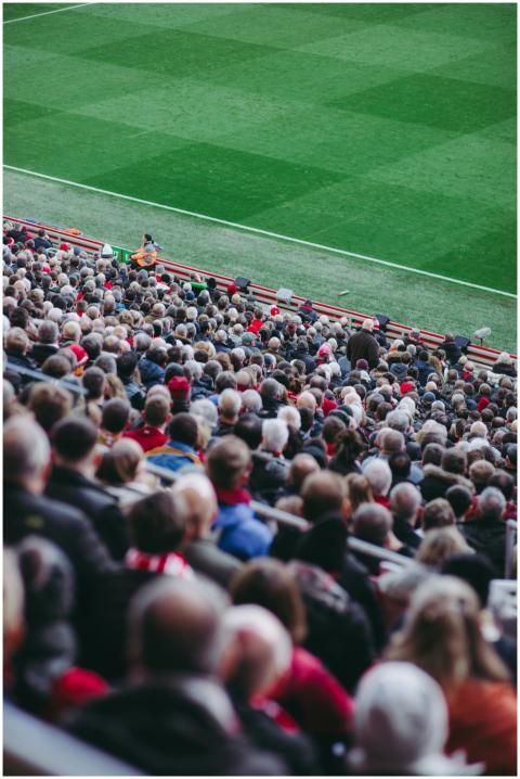 A lively crowd of soccer fans watching a game in a