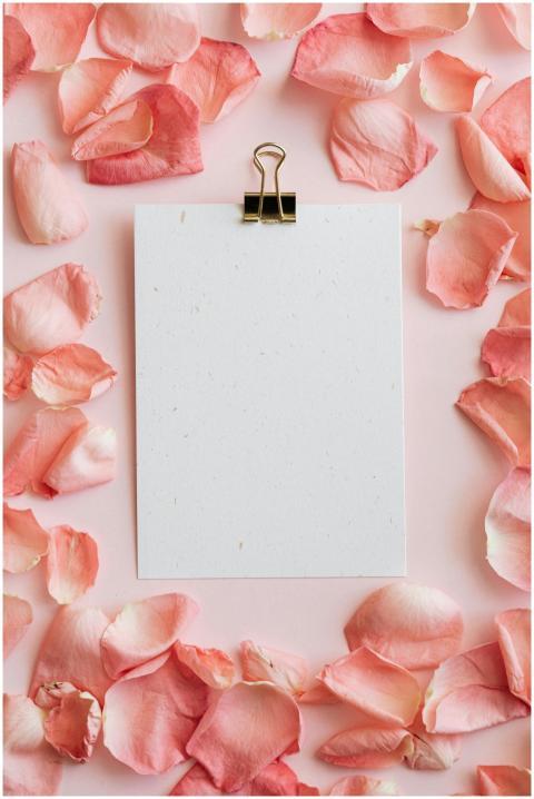 Top view of clipboard in pink petals of roses fram