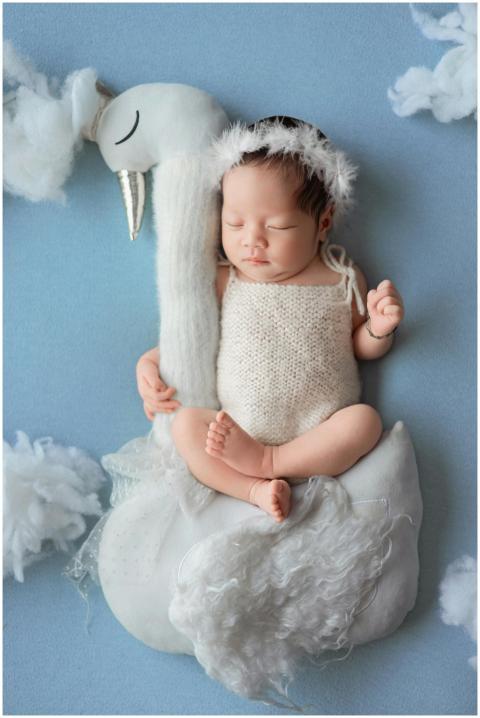 Free stock photo of angels, babies, baby