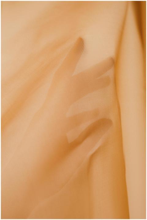 A delicate silhouette of a hand creating intriguin