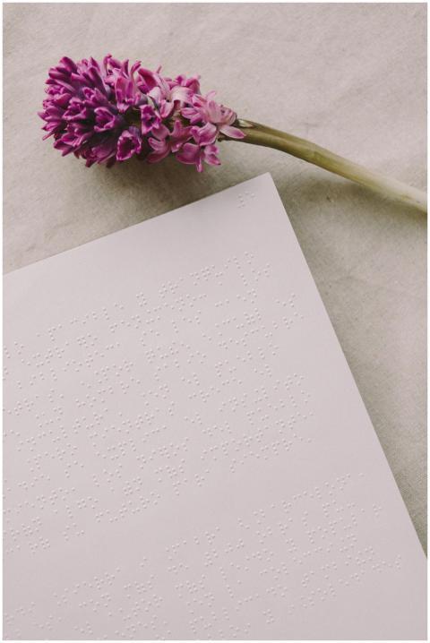 Close-up of a purple flower and Braille text, emph