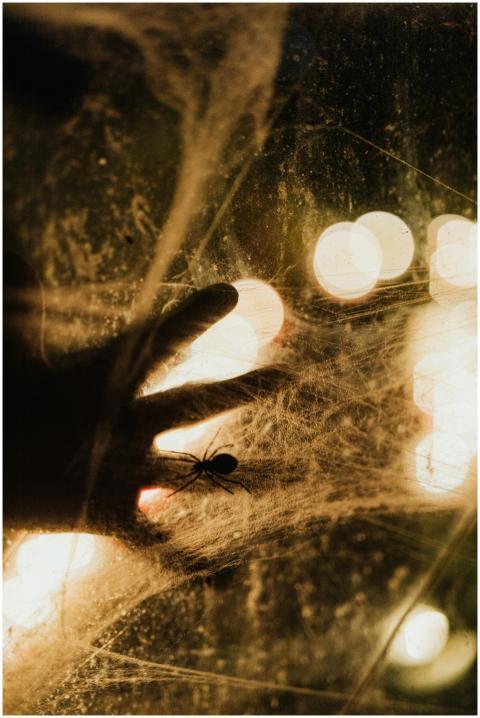 Silhouette of a hand and spider against a glowing