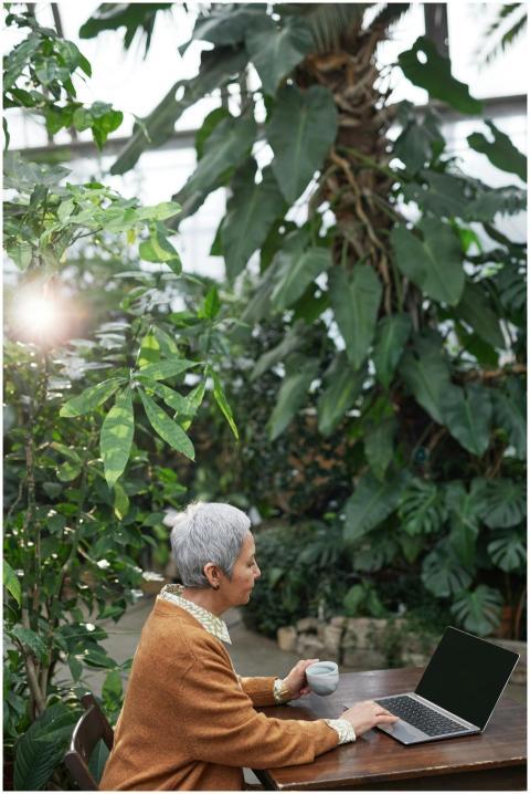 Elderly woman with silver hair using a laptop in a