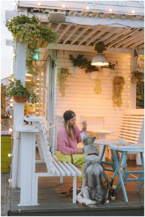 A woman in a pink sweater sits with her Siberian H