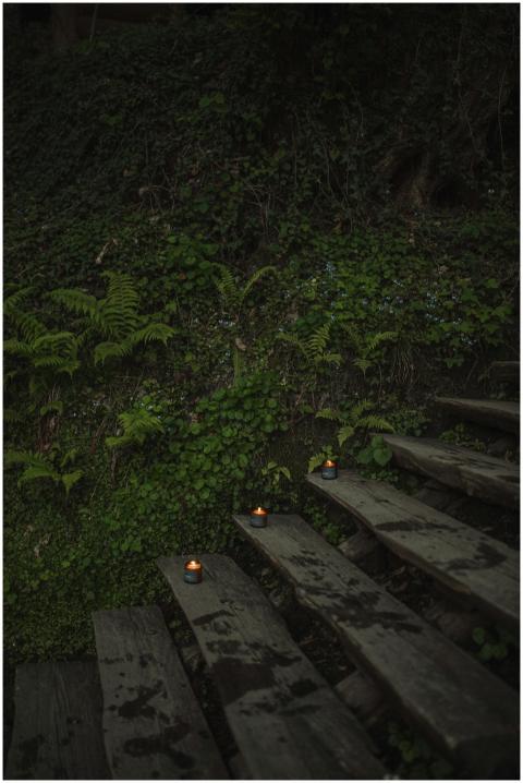Wooden stairs illuminated by candles nestled among