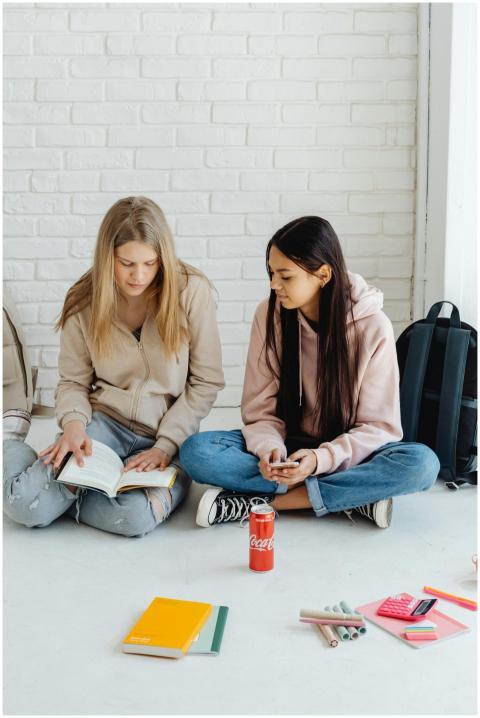 Two teenagers studying indoors with books and stat