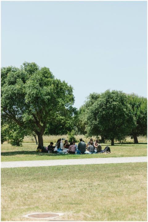 A serene outdoor gathering of adults under trees i