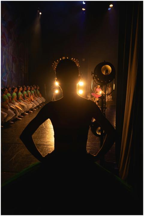 A ballerina silhouette stands on stage with a trou