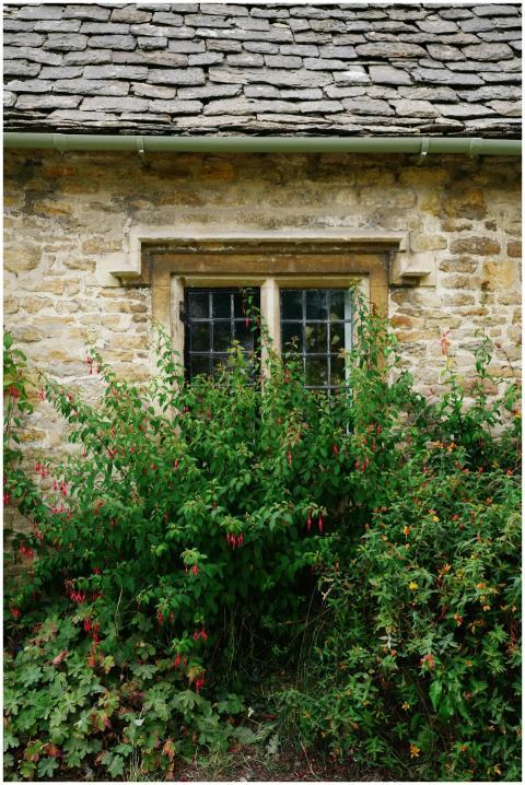 Rustic stone cottage facade with lush garden, feat