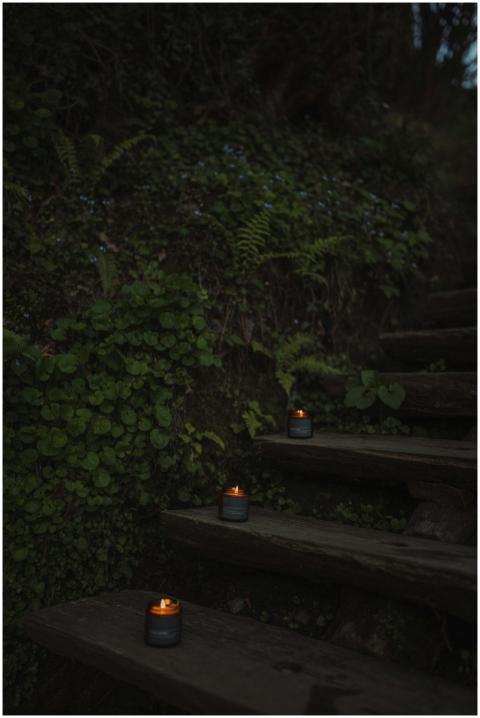 Candlelit wooden steps surrounded by lush green fo