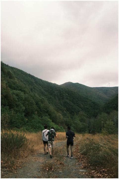 Explore the lush green trails of Yalova with a gro