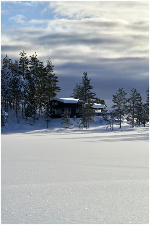 Tranquil winter scene with a cozy cabin nestled am