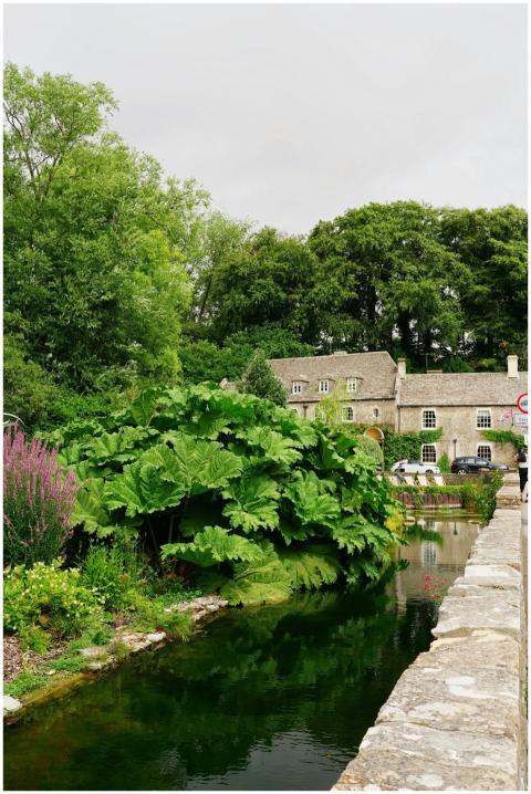 Picturesque Cotswolds village scene with stone hou