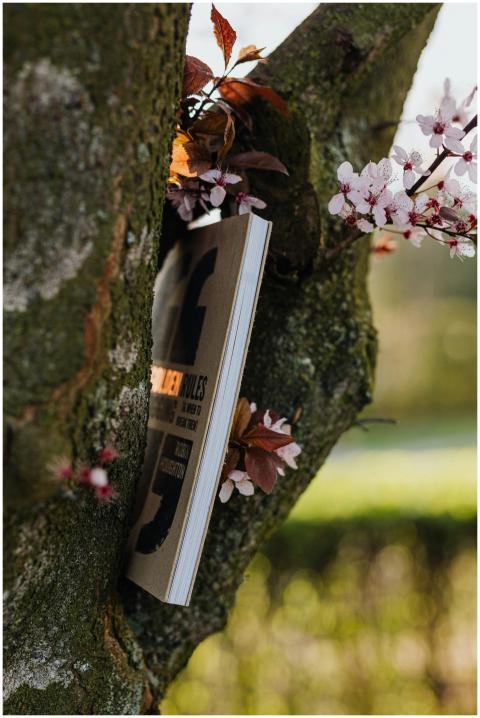 Thin book put in crutch of big apple tree on quiet