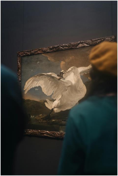 Visitors admire a classic swan painting in an Amst