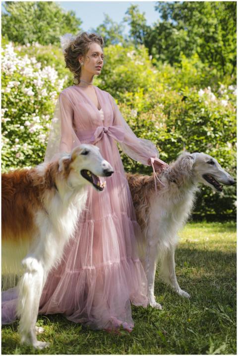 A woman in a pink dress stands with two Borzoi dog