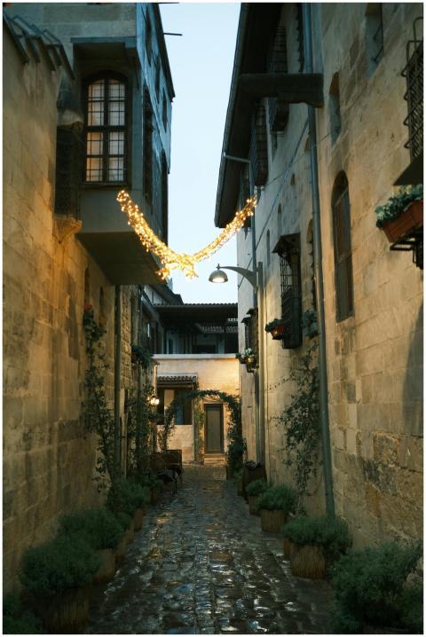 Charming Narrow Alleyway Festive