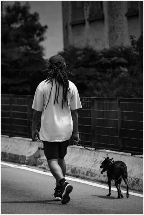 Back view of person with a dog on a leash walking