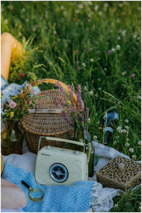 Charming outdoor picnic setup with vintage radio,