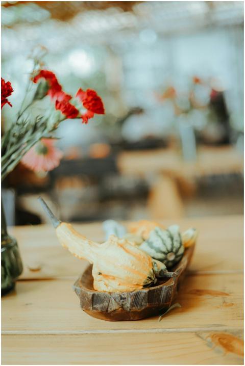 Rustic Autumn Decor Gourds