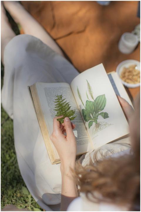 Person reading a botanical book outdoors with open
