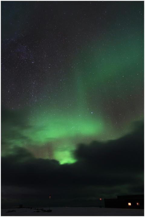 Captivating northern lights illuminate a starry sk