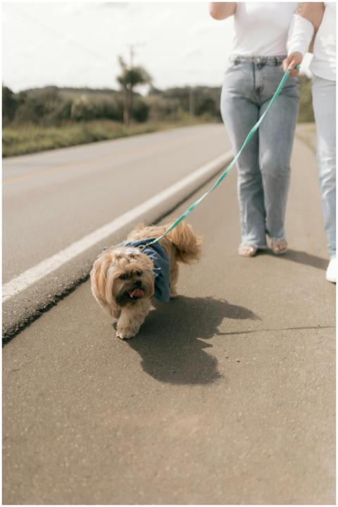 Two adults walking a cute dog wearing a denim jack