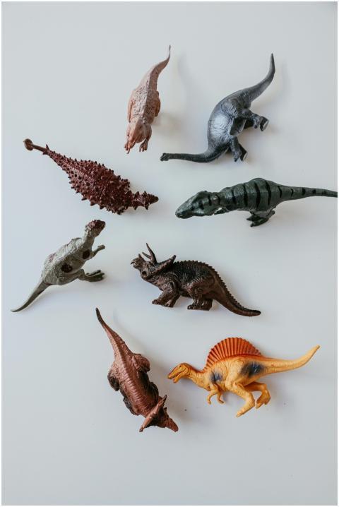 Top view of various plastic dinosaur toys arranged