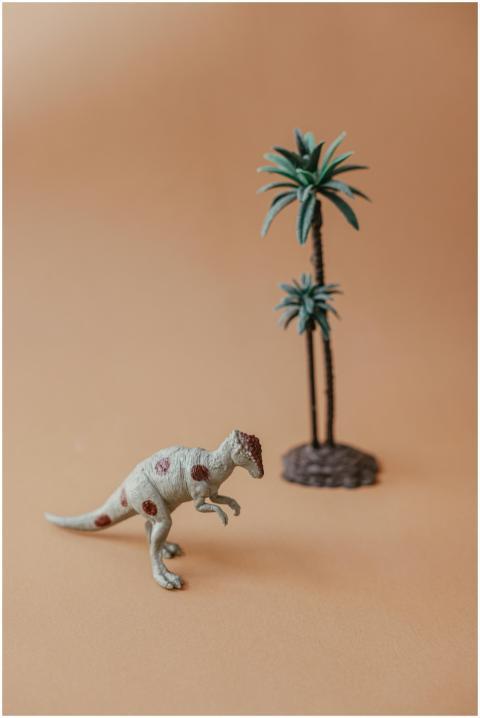 Close-up of dinosaur and palm tree toy figurines o
