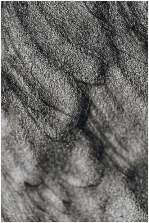 Intricate black and white textured surface design