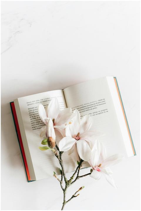 From above composition of opened book decorated wi