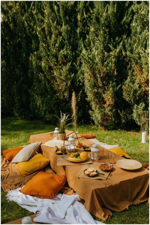 Inviting outdoor picnic setup with cushions, snack