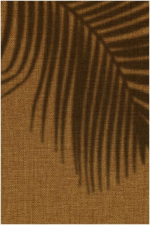 Elegant shadow of palm leaves creating a tropical