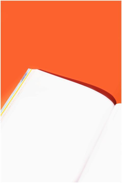 Minimalist photo of an open notebook against a viv