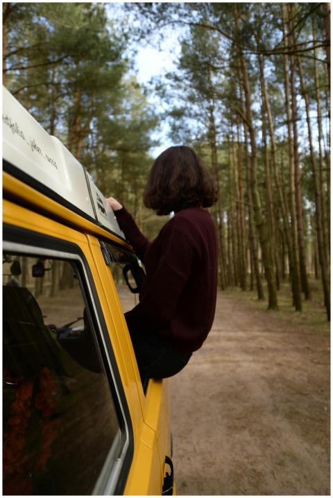 A woman sitting in a yellow camper van amidst a se
