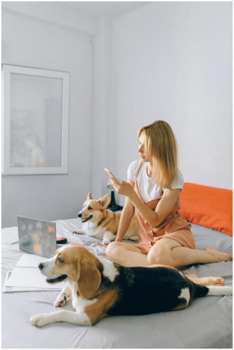 Woman sitting with two dogs on a bed, using a phon