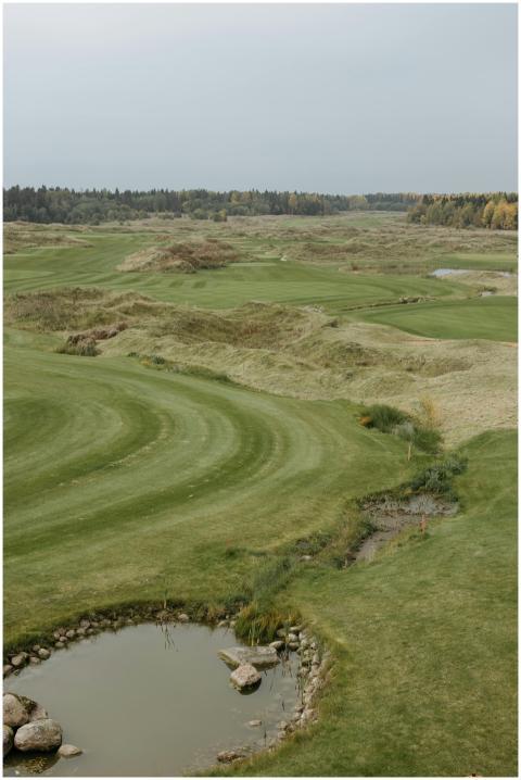 A tranquil aerial view showcasing an expansive gol