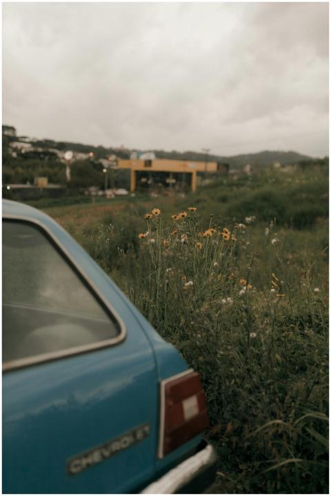 Vintage blue Chevrolet car amidst lush green lands
