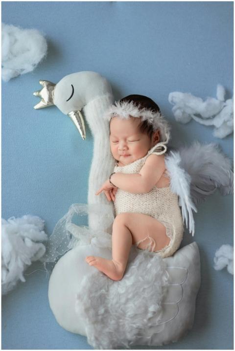 Free stock photo of angels, babies, baby