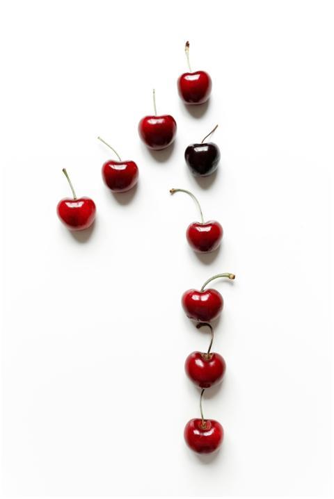 Artistic display of fresh red cherries on a white