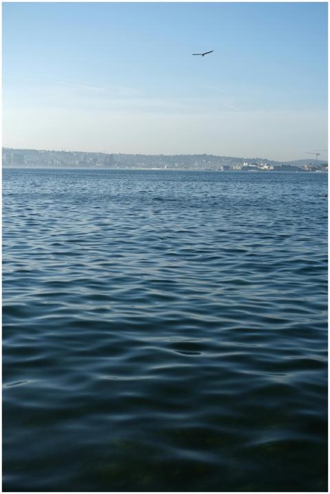 A peaceful view of the calm sea at Büyükçekmece, İ