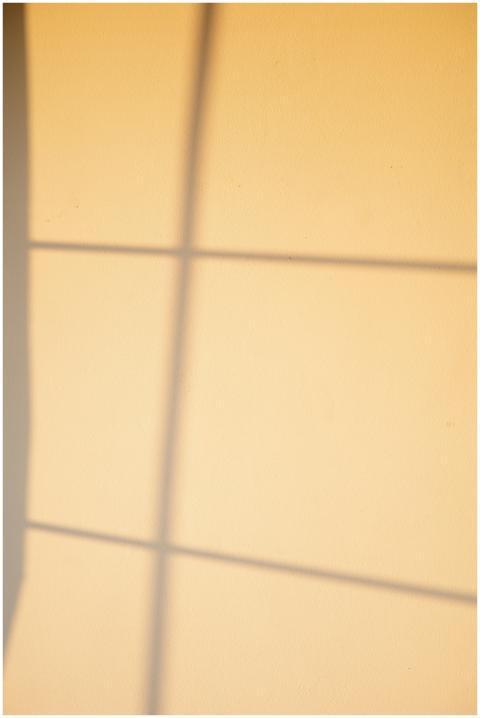 Warm light casts soothing window patterns on a wal