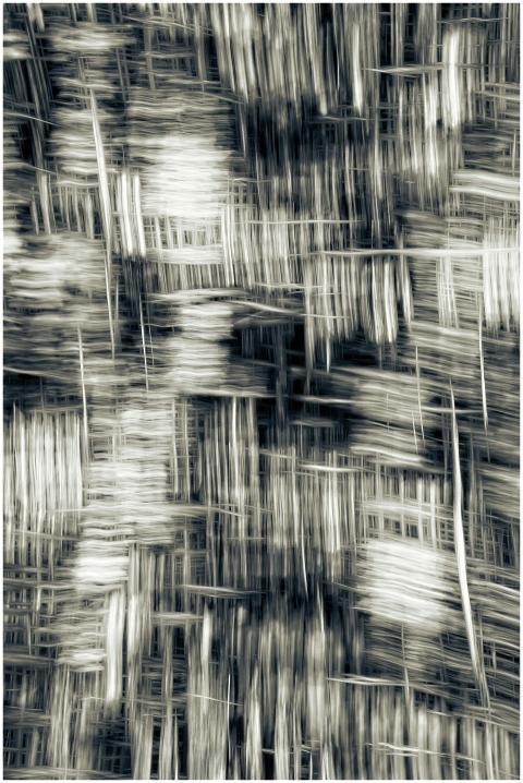 Intricate black and white abstract art capturing d