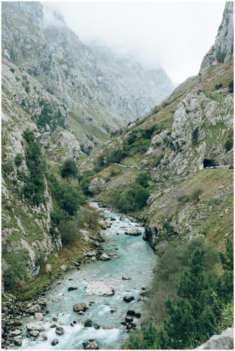 Beautiful misty mountain gorge with a flowing rive