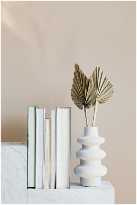 Elegant minimalist bookshelf decor featuring a sty