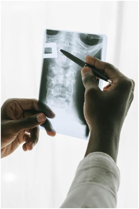 A radiologist examines an x-ray of a thorax, highl