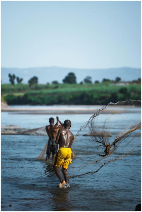 Free stock photo of adult man, african man, fisher