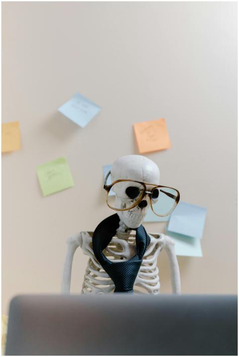 Humorous skeleton model with glasses and tie, illu